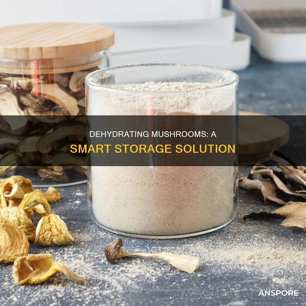 what great to dehydrate mushrooms