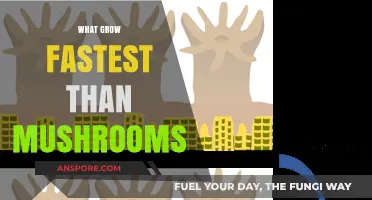 Surprising Growth Rates: What Outpaces Mushrooms in Speed and Scale?