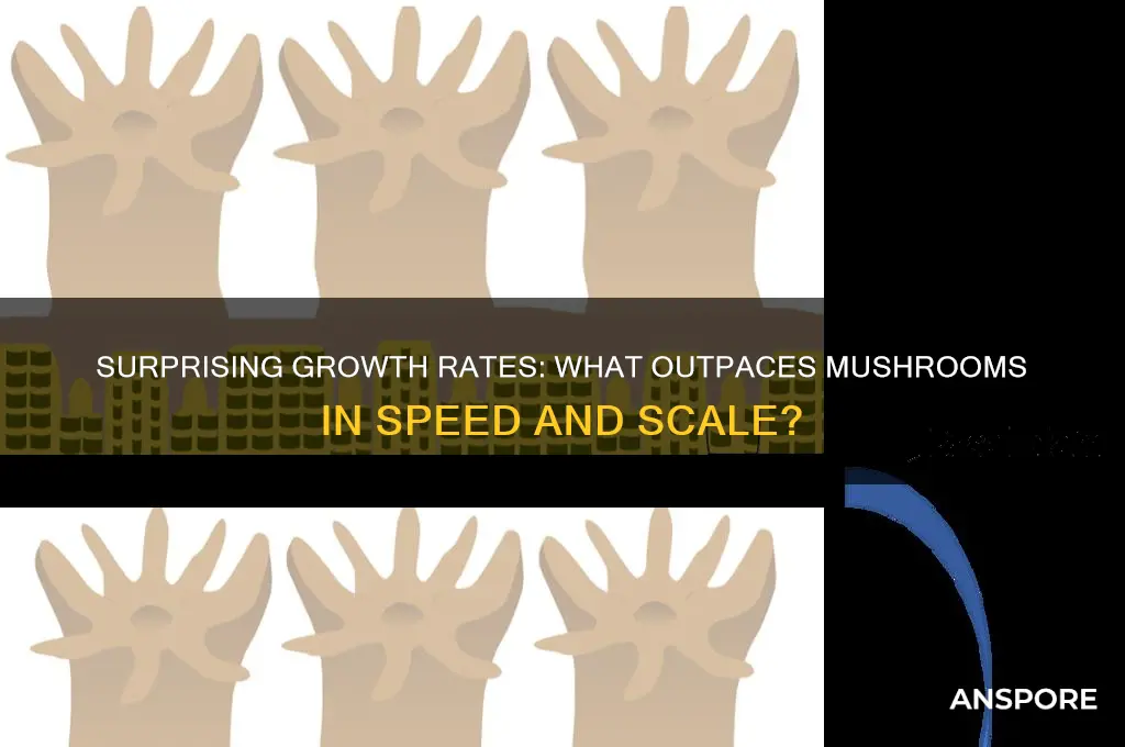 what grow fastest than mushrooms