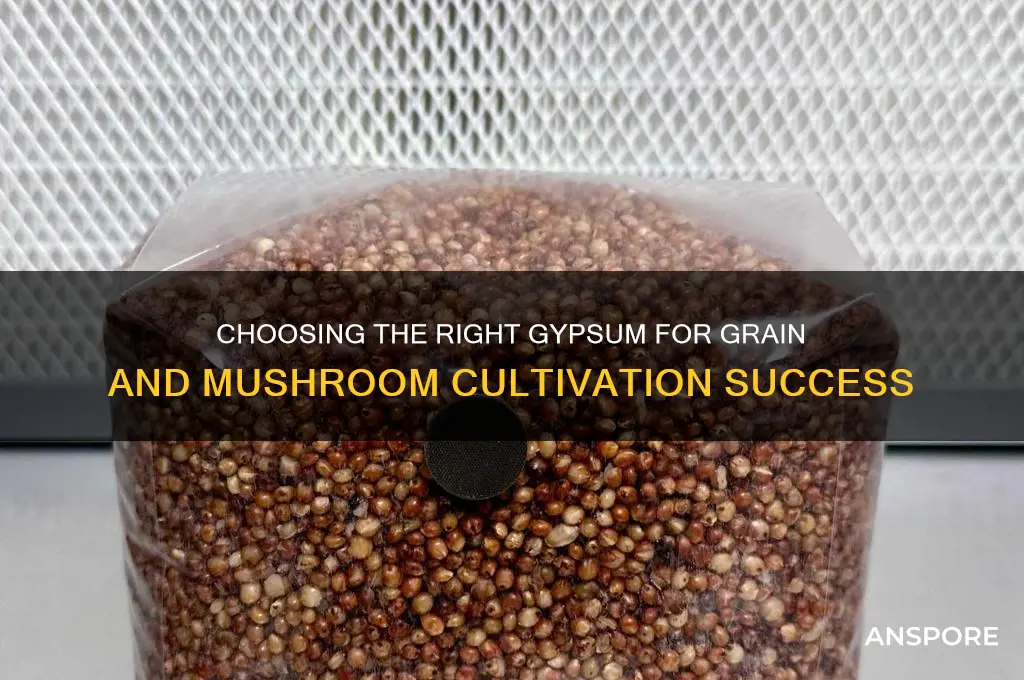 what gypsum to use for grain and mushroom growing