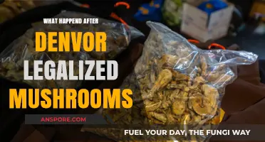 Denver's Psychedelic Shift: Post-Legalization Mushroom Impact and Insights