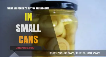 The Disappearance of Canned Button Mushrooms: What Really Happened?