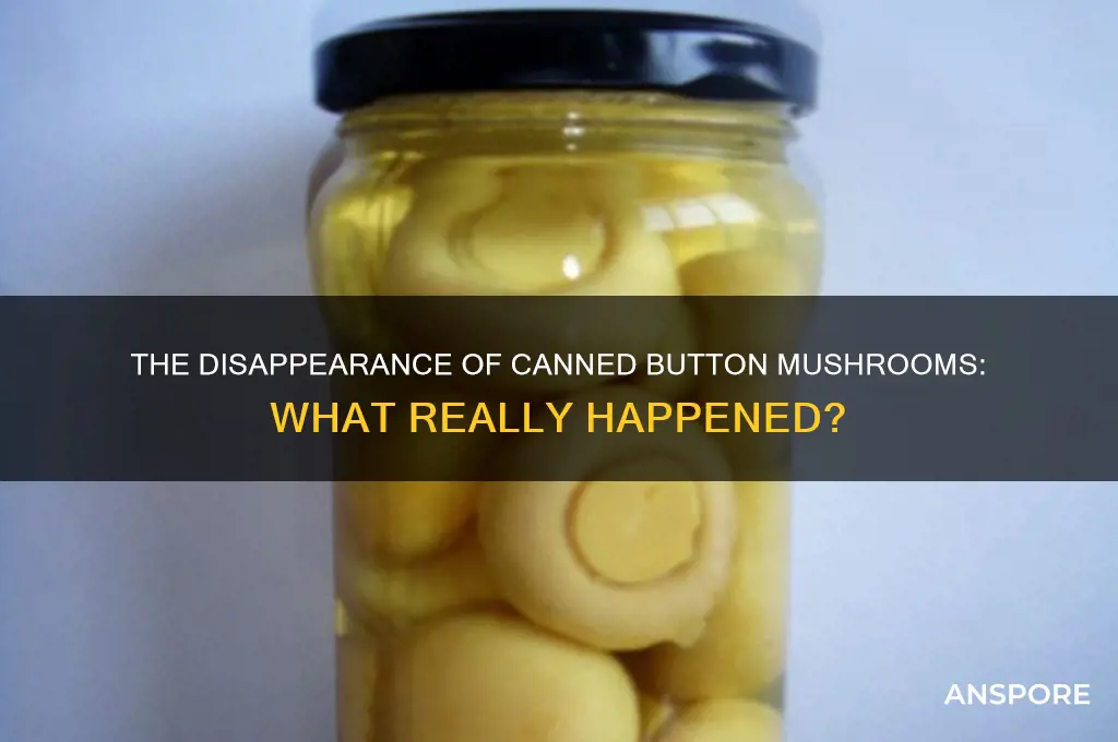 what happened to button mushrooms in small cans