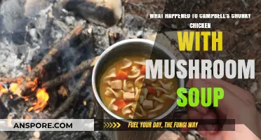 Campbell's Chunky Chicken with Mushroom Soup: Discontinued or Still Available?