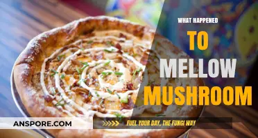 Mellow Mushroom's Evolution: What Happened to the Brand?