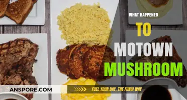 The Rise and Fall of Motown Mushrooms