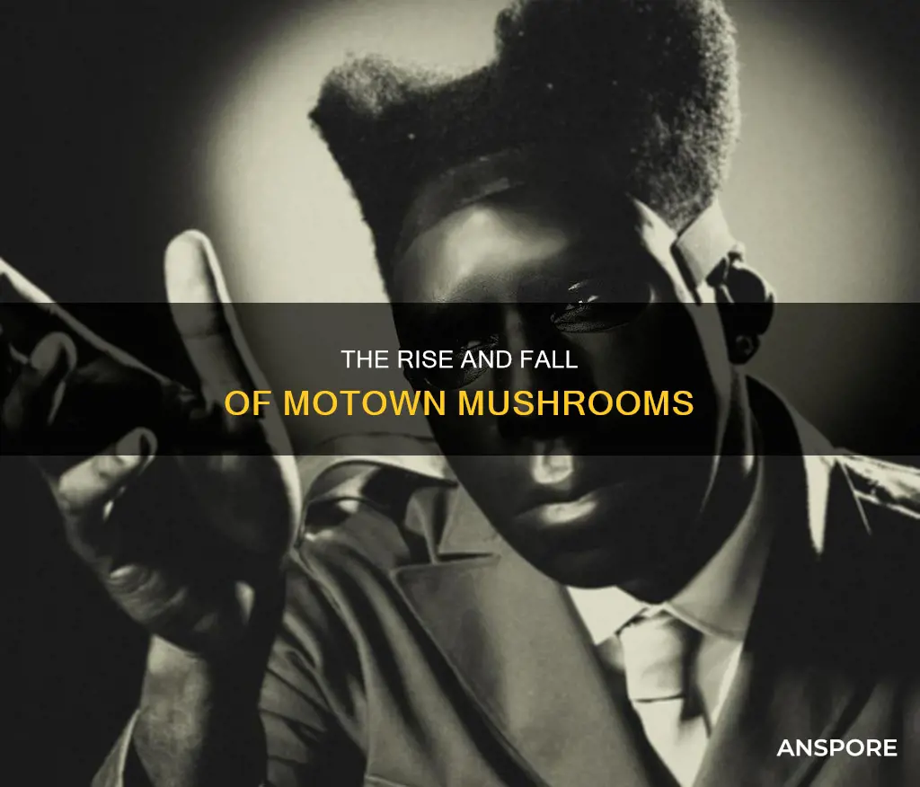 what happened to motown mushrooms
