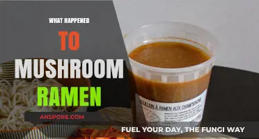 Mushroom Ramen: Where Did It Go?