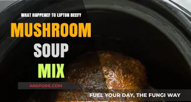The Disappearance of Lipton Beefy Mushroom Soup Mix: What Happened?