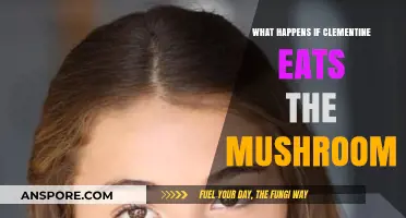 Clementine and the Mushroom: Unraveling the Consequences of a Tasty Mistake