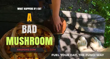 Toxic Mushroom Symptoms: What Happens If You Eat a Bad Mushroom?