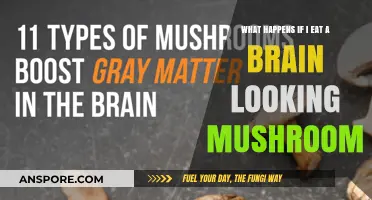 Brain-Like Mushrooms: Risks, Effects, and What Happens If You Eat One