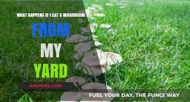 Eating Yard Mushrooms: Risks, Dangers, and What You Need to Know