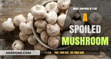 Spoiled Mushroom Risks: Symptoms, Dangers, and When to Seek Help