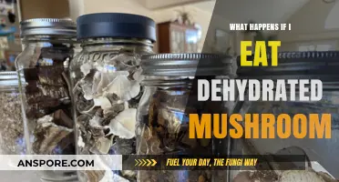 Dehydrated Mushrooms: Effects, Safety, and What to Expect After Eating