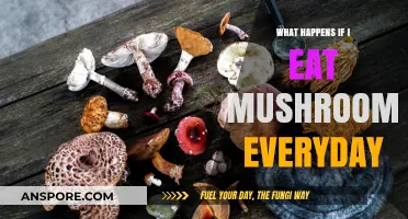 Daily Mushroom Consumption: Benefits, Risks, and Long-Term Effects Explained