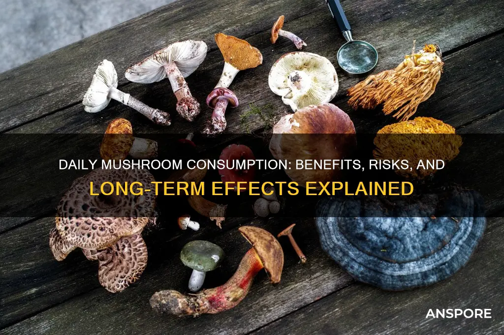 what happens if i eat mushrooms everyday