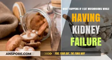 Mushrooms and Kidney Failure: Risks, Effects, and What to Avoid