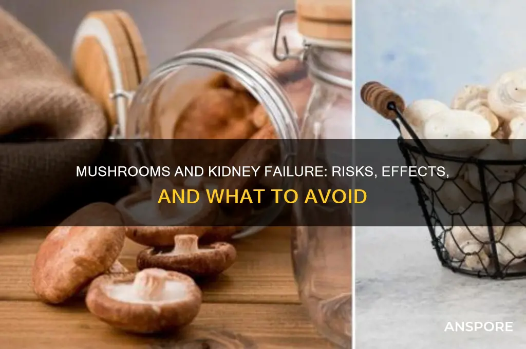 what happens if i eat mushrooms while having kidney failure