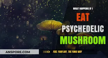Psychedelic Mushrooms: Effects, Risks, and What to Expect After Consumption
