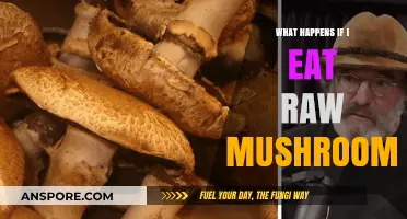 Risks of Eating Raw Mushrooms: Potential Dangers and Health Concerns