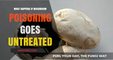 Untreated Mushroom Poisoning: Symptoms, Risks, and Potential Fatal Consequences