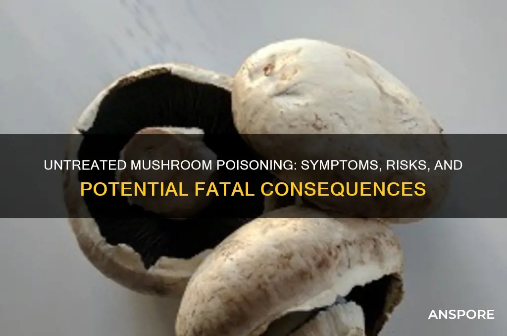 what happens if mushroom poisoning goes untreated