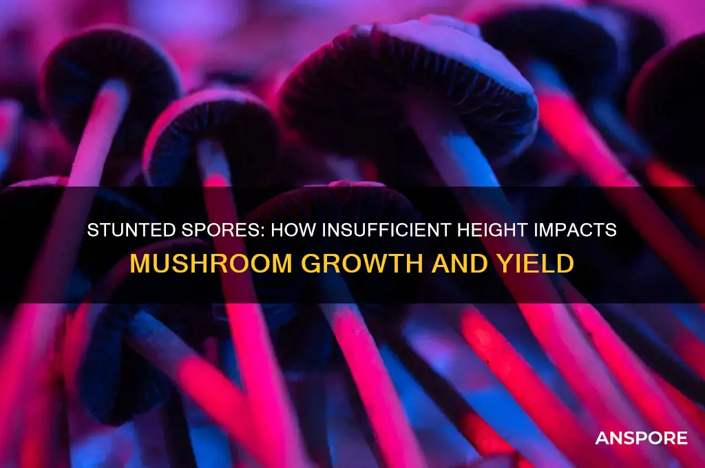 what happens if mushrooms dont have enough height to grow