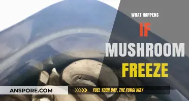 Freezing Mushrooms: What Happens and How to Prevent It
