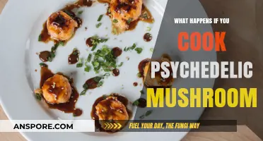 Cooking Psychedelic Mushrooms: Effects, Risks, and Legal Implications Explained