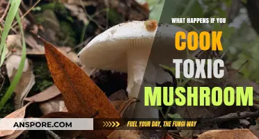 Cooking Toxic Mushrooms: Risks, Symptoms, and Emergency Measures Explained