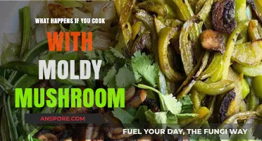 Cooking with Moldy Mushrooms: Risks and Health Consequences Explained