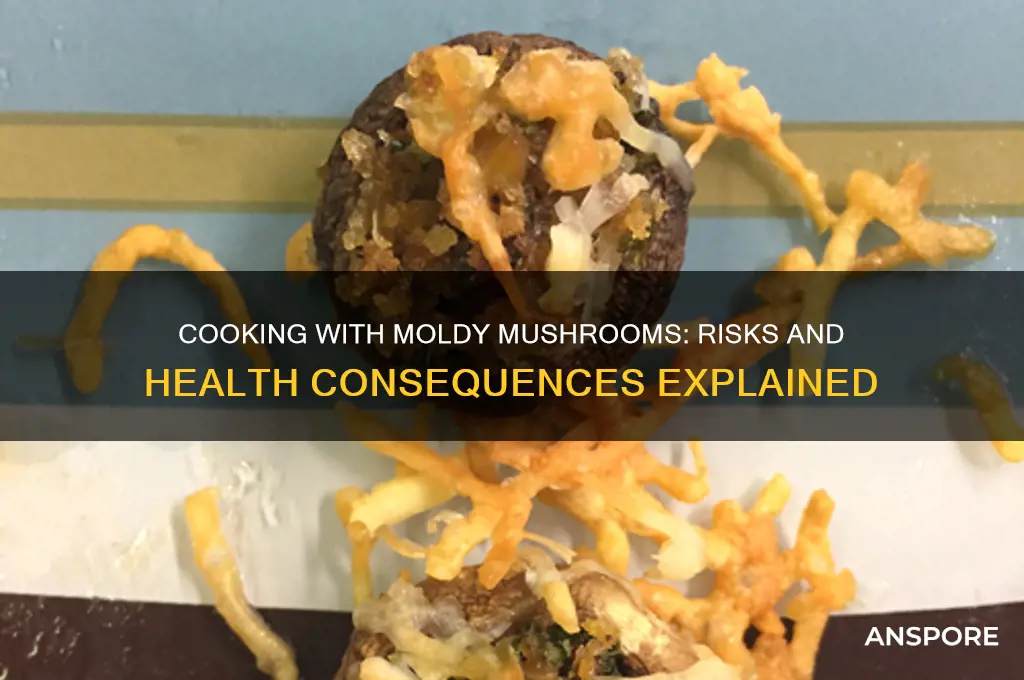 what happens if you cook with moldy mushroom
