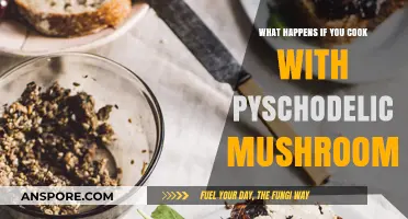 Cooking with Psychedelic Mushrooms: Risks, Effects, and Legal Consequences