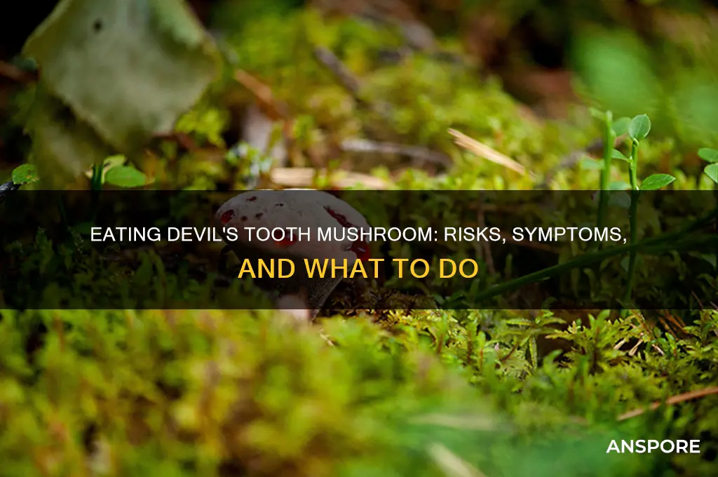 what happens if you eat a devil