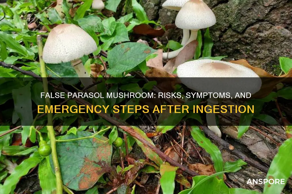 what happens if you eat a false parasol mushroom