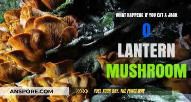 Eating a Jack O' Lantern Mushroom: Risks and Symptoms Explained