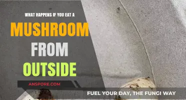 Wild Mushroom Risks: What Happens If You Eat One?