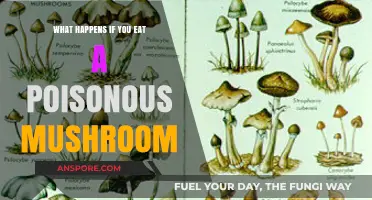Deadly Mistake: The Shocking Effects of Eating Poisonous Mushrooms