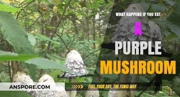 Purple Mushroom Peril: Unveiling the Risks of Ingesting Wild Fungi