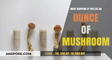 Exploring the Effects of Consuming an Ounce of Mushrooms