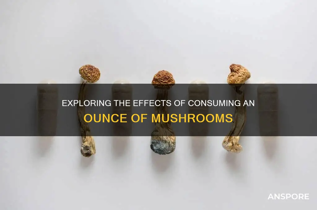 what happens if you eat an ounce of mushrooms
