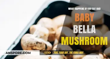 Eating Bad Baby Bella Mushrooms: Symptoms, Risks, and What to Do