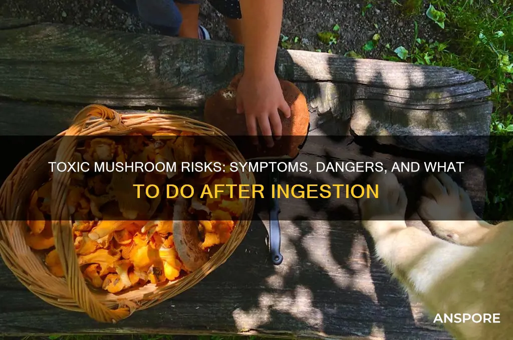 what happens if you eat bad mushrooms