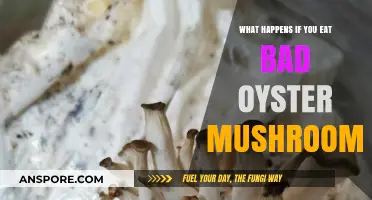 Risks of Eating Spoiled Oyster Mushrooms: Symptoms and Prevention Tips