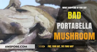Risks of Eating Spoiled Portabella Mushrooms: Symptoms and Prevention Tips