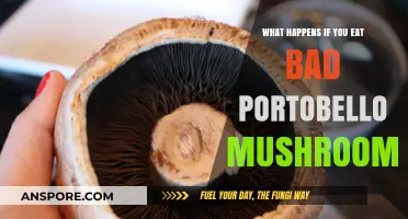 Risks of Eating Spoiled Portobello Mushrooms: Symptoms and Prevention Tips