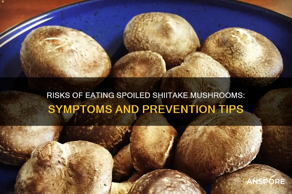what happens if you eat bad shiitake mushrooms