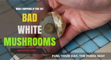 Eating Bad White Mushrooms: Symptoms, Risks, and When to Seek Help