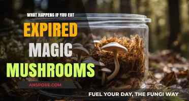 Expired Magic Mushrooms: Risks, Effects, and Safety Concerns Explained